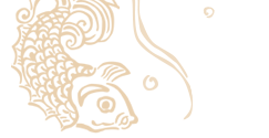 Fishbrook Design Studio